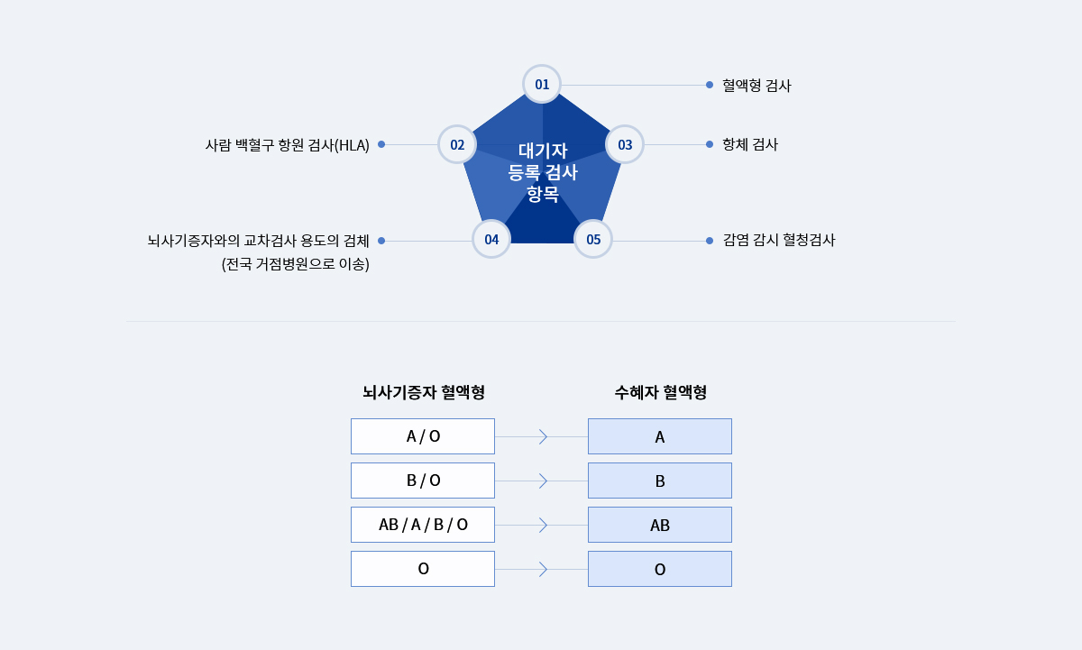 뇌사자 신장이식 대기자 등록 검사: 1.혈액형검사,2.사람 백혈구 항원 검사(HLA), 3.항체검사, 4.뇌사기증자와의 교차검사 용도의 검체(전국 거점병원으로 이송), 5.감염 감시 혈청검사, 뇌사자기증자 혈액형 수헤자 혈액형: A/O → A, B/O → B, AB/A/B/O → AB, O → O