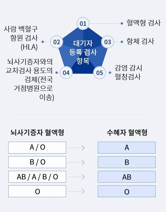 뇌사자 신장이식 대기자 등록 검사